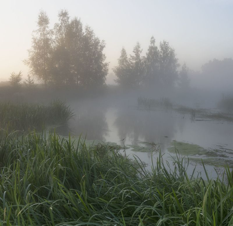 Последний день летаphoto preview