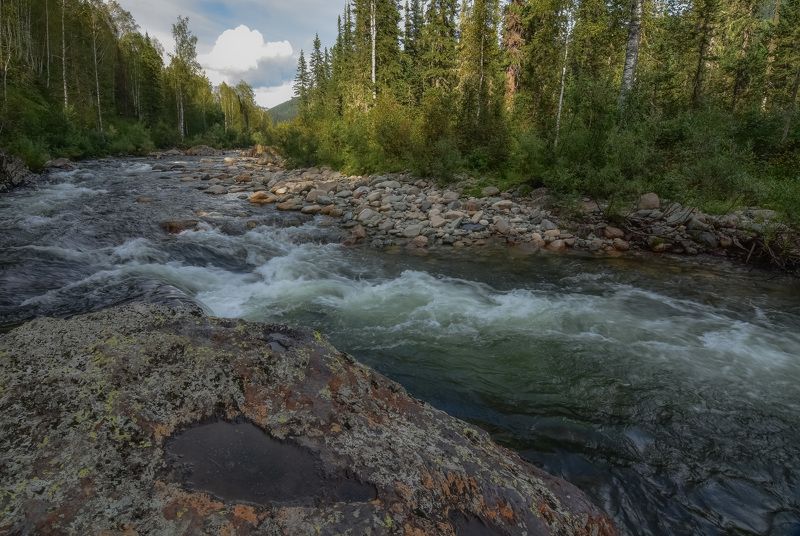 россия, хакасия, кузнецкий алатау, лето, вечер, река казыр, пороги, лес, камни Вечер на реке Казырphoto preview