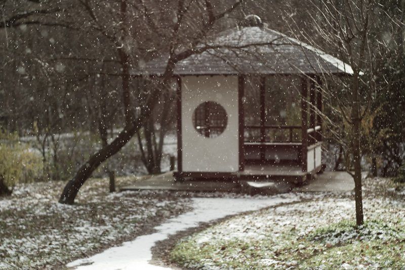 первый снег, японский сад Первый снег фото превью