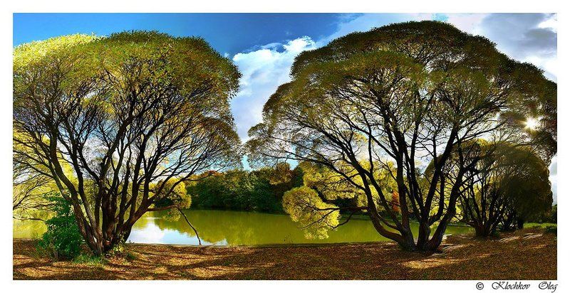 ЖОВТЕНЬphoto preview