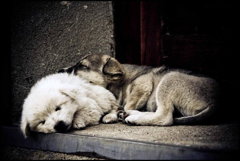 Устав от игр...photo preview