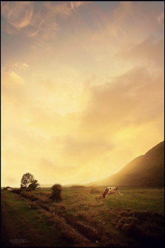 *Абхазия*photo preview