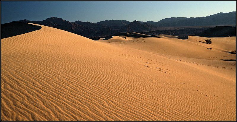 Долгая дорога в дюнах(3)photo preview