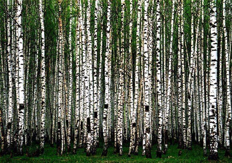 ...408 км от Москвы.... Автор: ИГОРЬ МЕЛЬНИКОВ , ИГОРЬ МЕЛЬНИКОВ