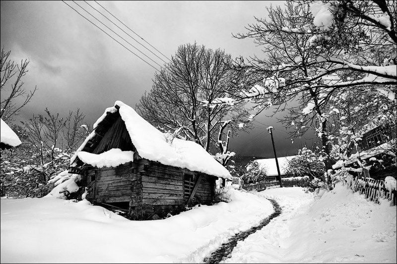 карпаты, 2009 ***photo preview