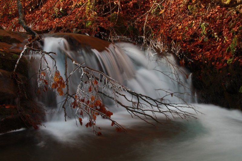 Осеньphoto preview