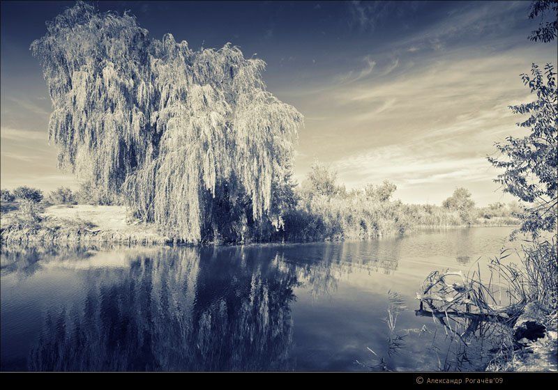 анапа,пейзаж,осень Пейзаж в альтернативных тонах.photo preview