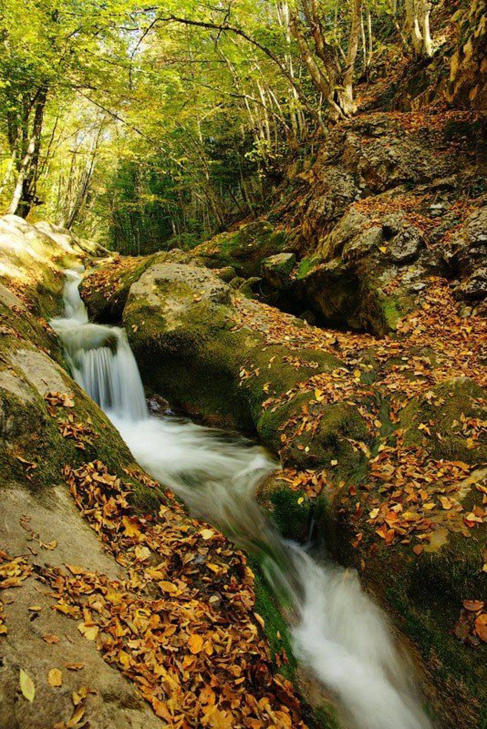 Осень в каньоне.. Автор: senjor осень, речка, каньон, senjor