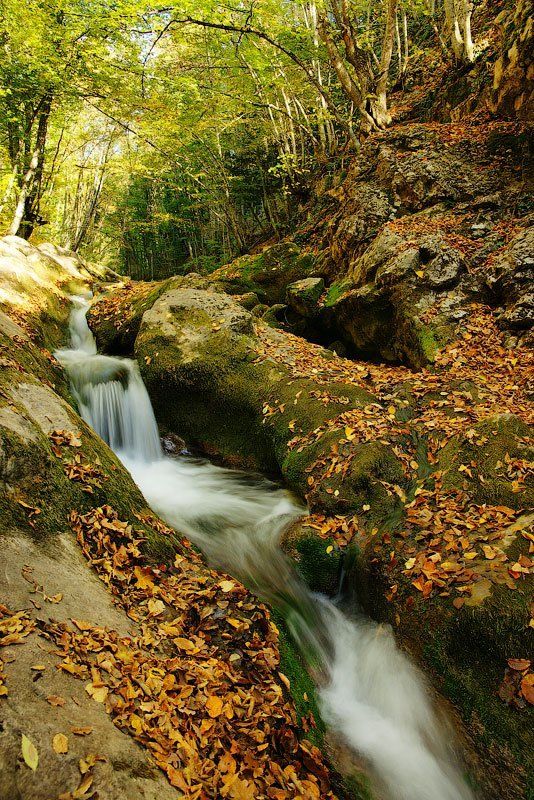 осень, речка, каньон Осень в каньоне.photo preview