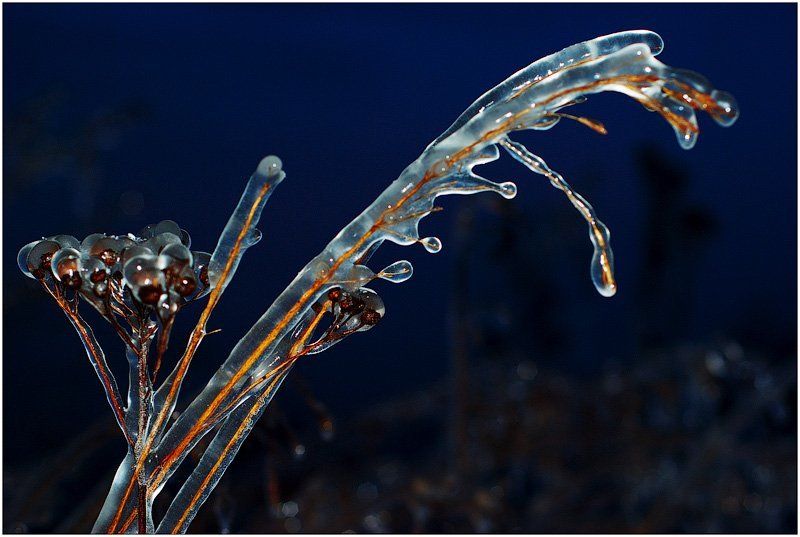 осень, вечер, лед Зимняя осеньphoto preview