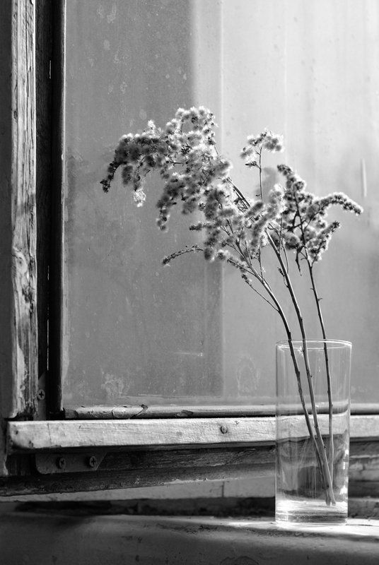 Воспоминания об осени фото превью