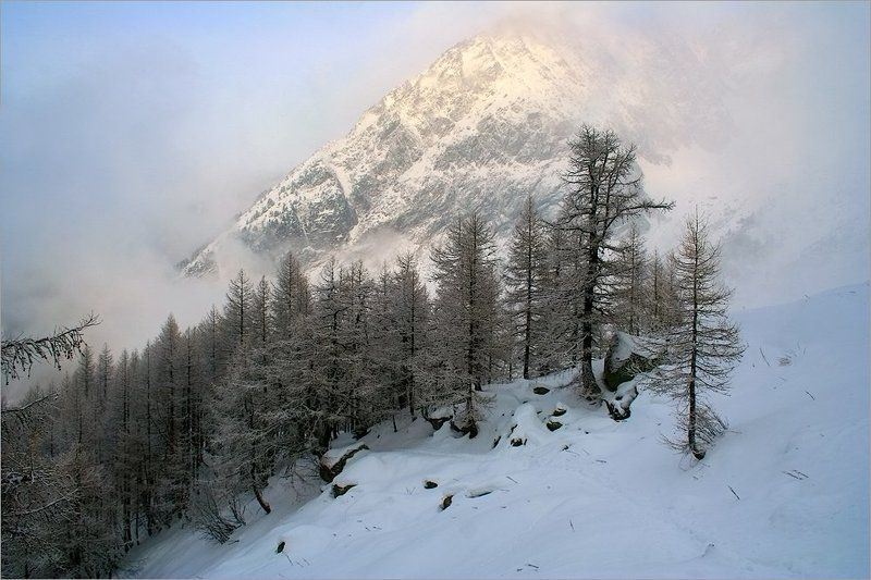 Свет на высотеphoto preview