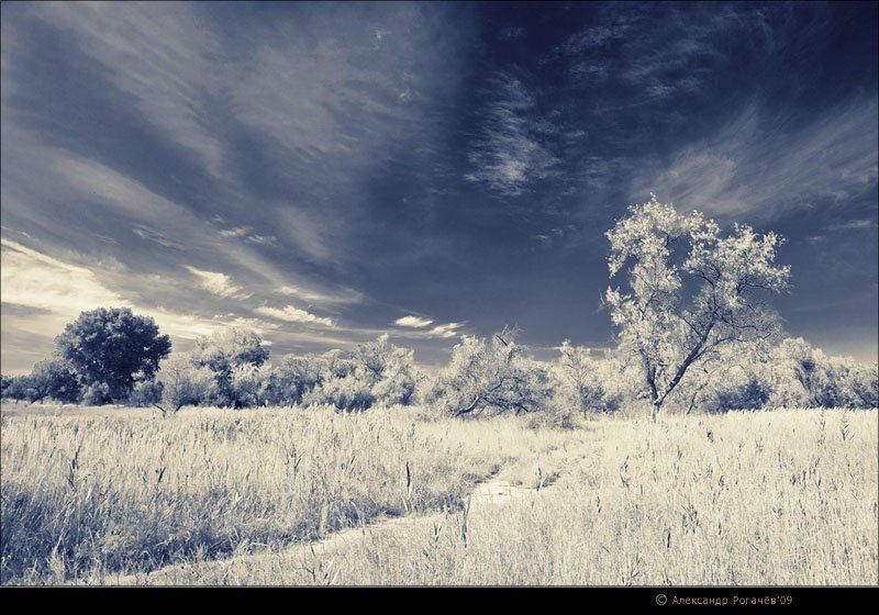 анапа,осень,пейзаж Пейзаж в альтернативных тонах. v2photo preview