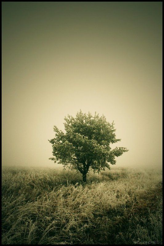 меланхолия...photo preview