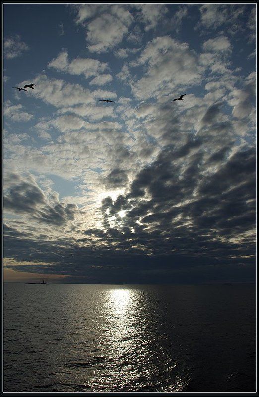 ладога Ладогаphoto preview