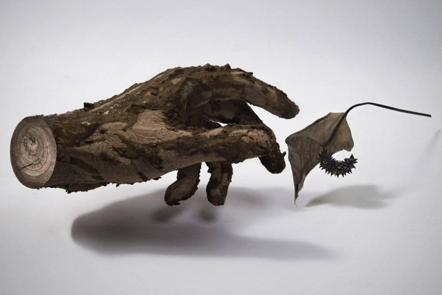 Танец с листиком. Автор: oregu oregu, oregu