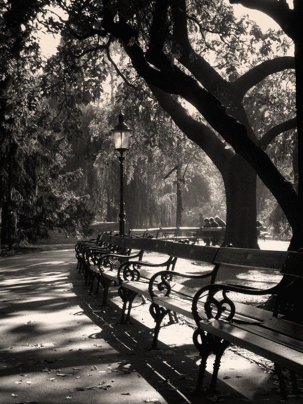 вена ****photo preview