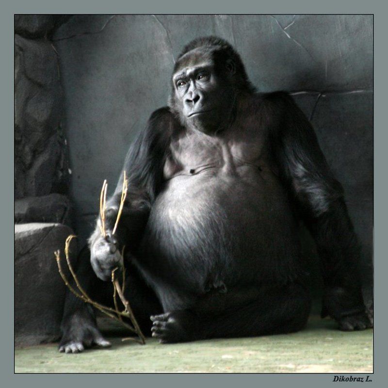 Ностальгияphoto preview