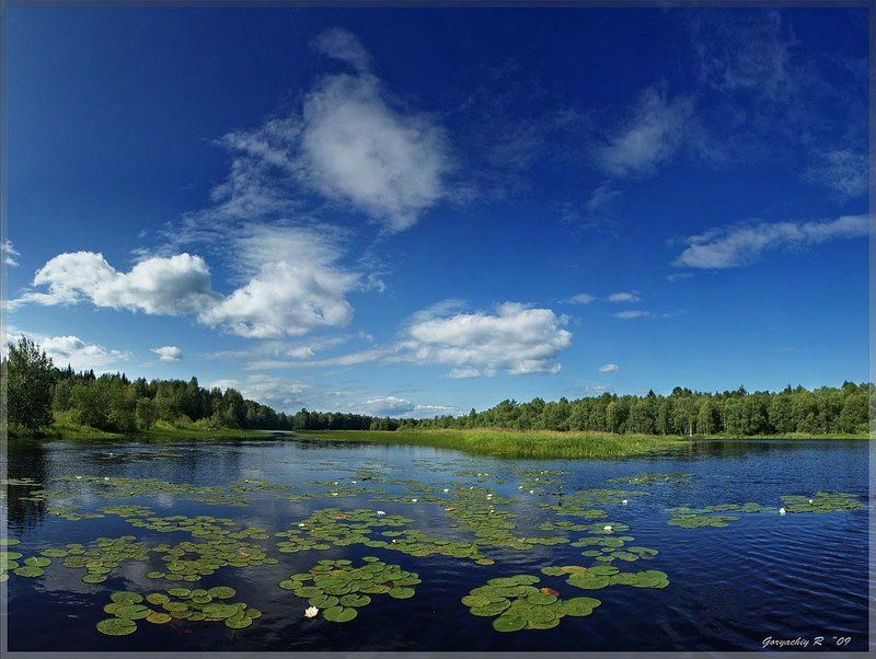 река,лето простой летний денекphoto preview