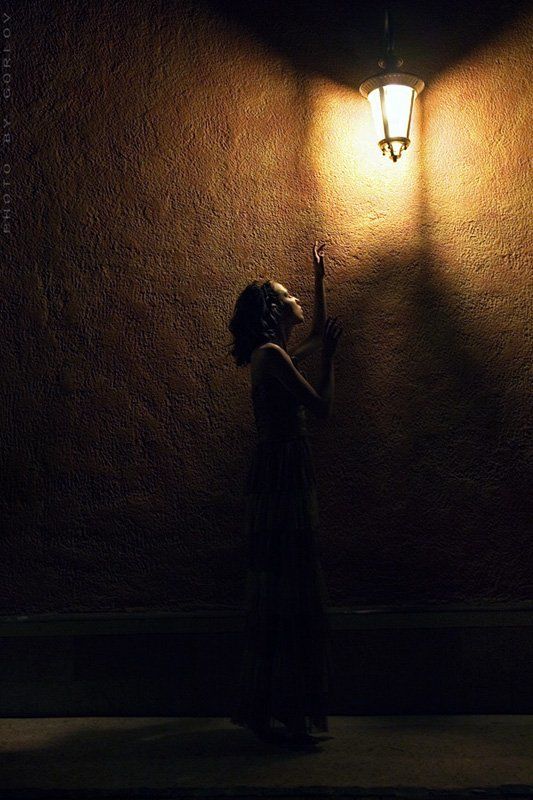 mariposa *photo preview