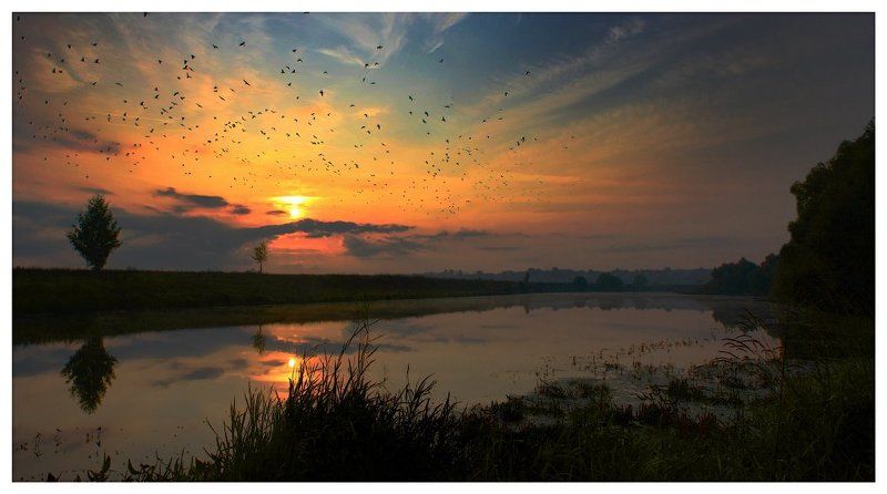 река,красивая меча,ефремов \