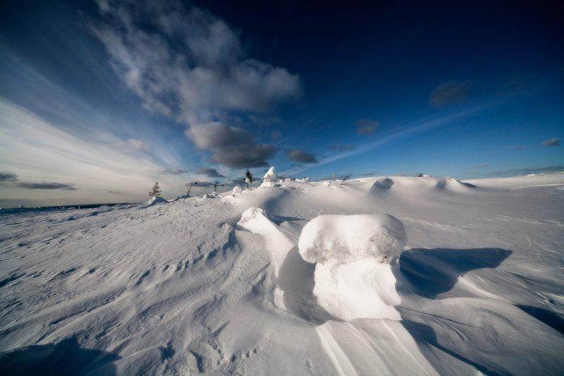 ВОСПОМИНАНИЯ О ЗИМЕ...photo preview