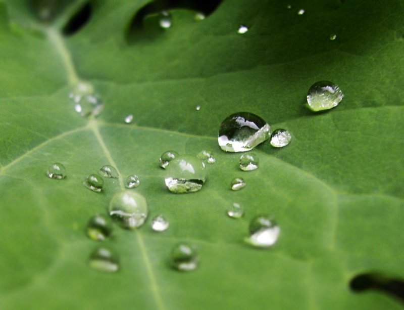 Россыпьphoto preview