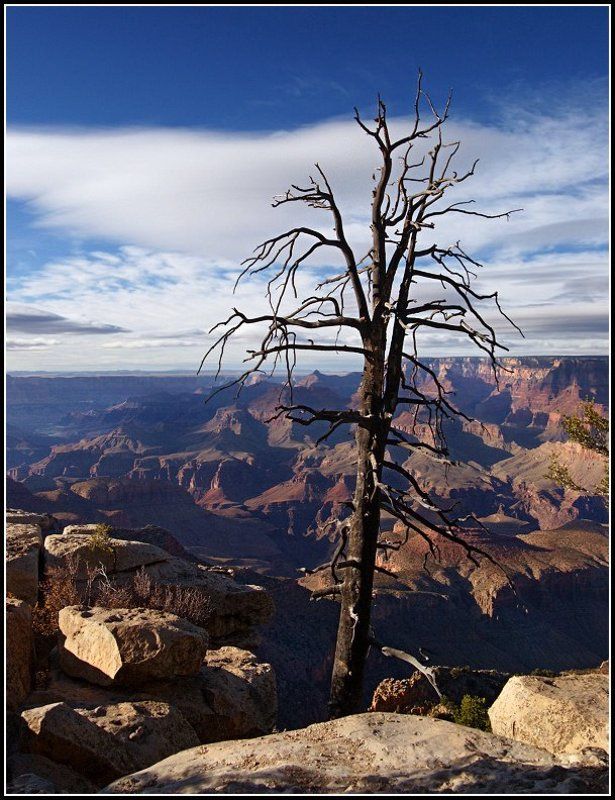 Среди камнейphoto preview