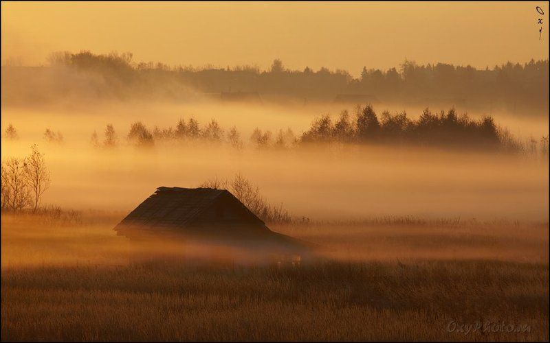 дом, рассвет, туман, утро, Вот такой туманный слоеный пирог...photo preview
