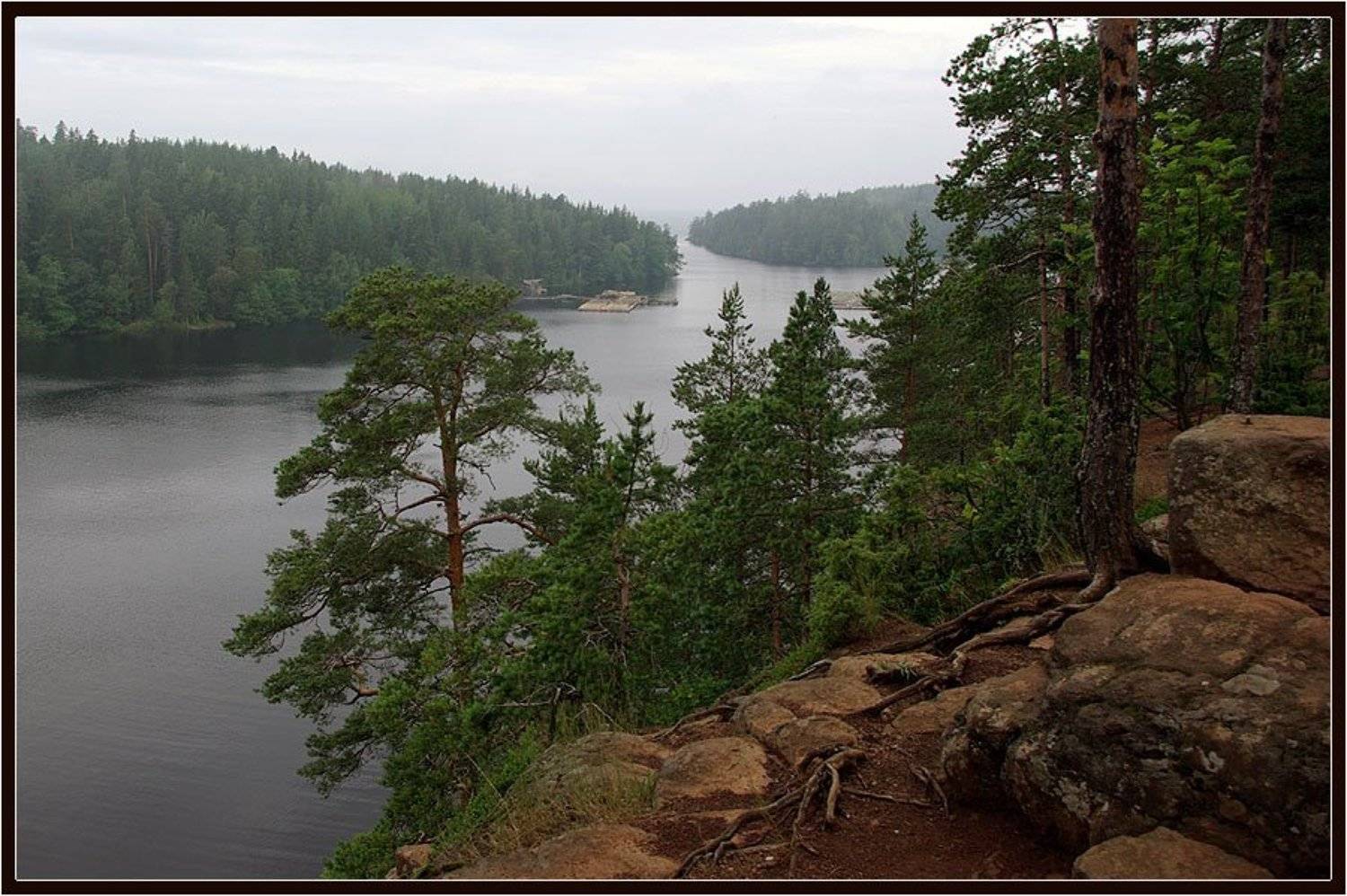 обрыв,лес,бухта, Солодухин Виктор