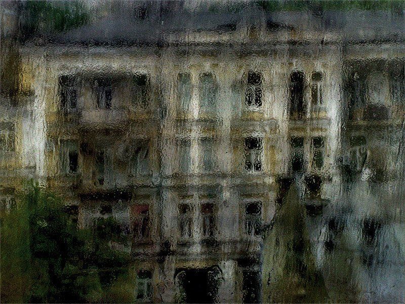 дождьphoto preview