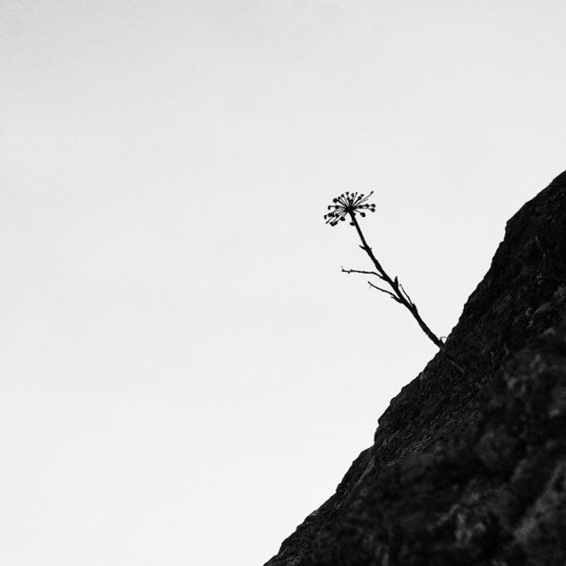 абстракция ***photo preview