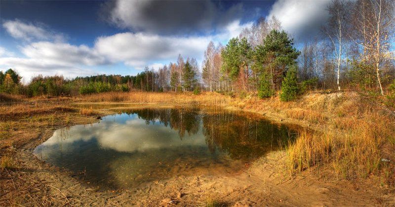осень,  лужа, отражение, облака что такое осеньphoto preview