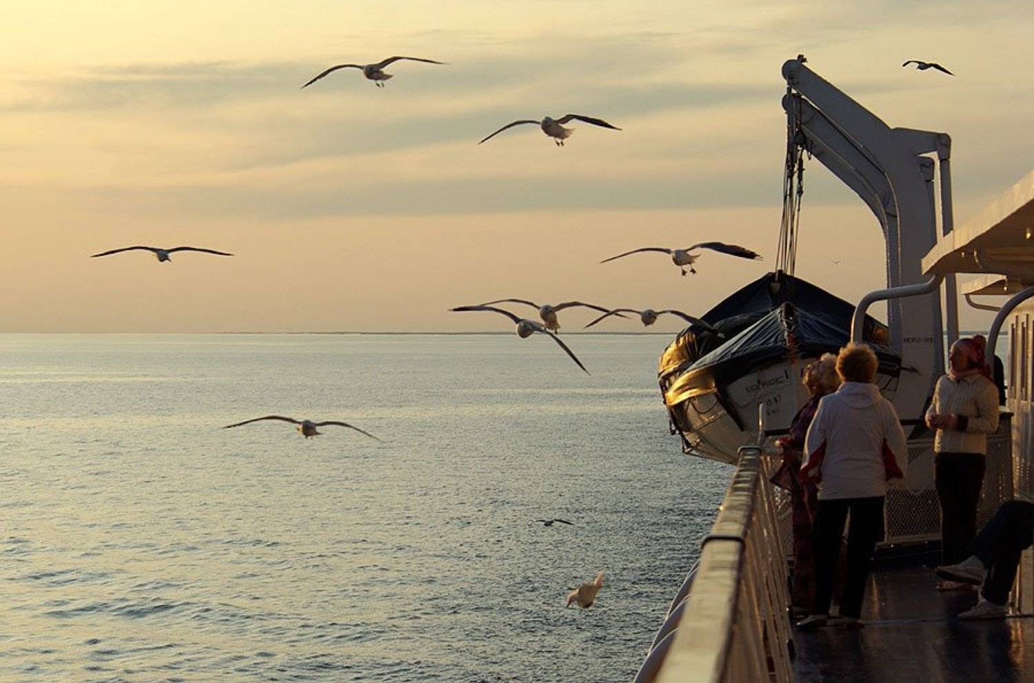 чайки,тепоход, Солодухин Виктор