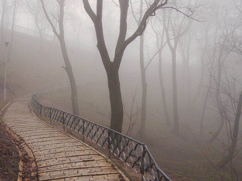 меж мирамиphoto preview