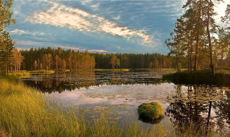 тишинаphoto preview