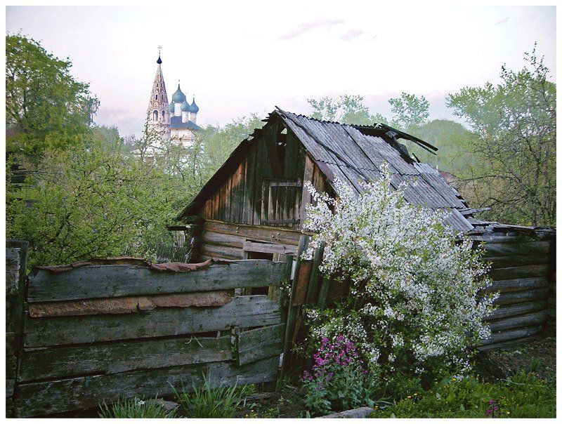 нерехта, май, костромская, область, провинция Нерехта в мае ***photo preview