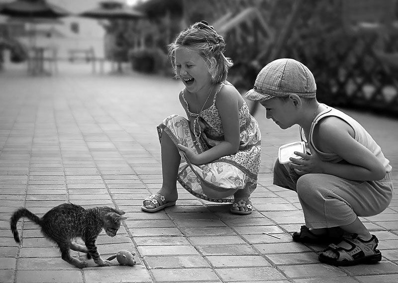 играphoto preview