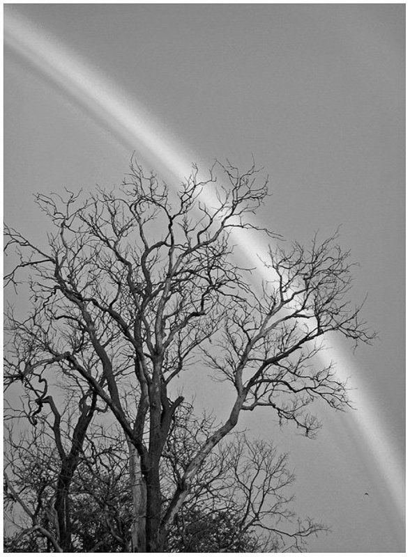 Радугаphoto preview