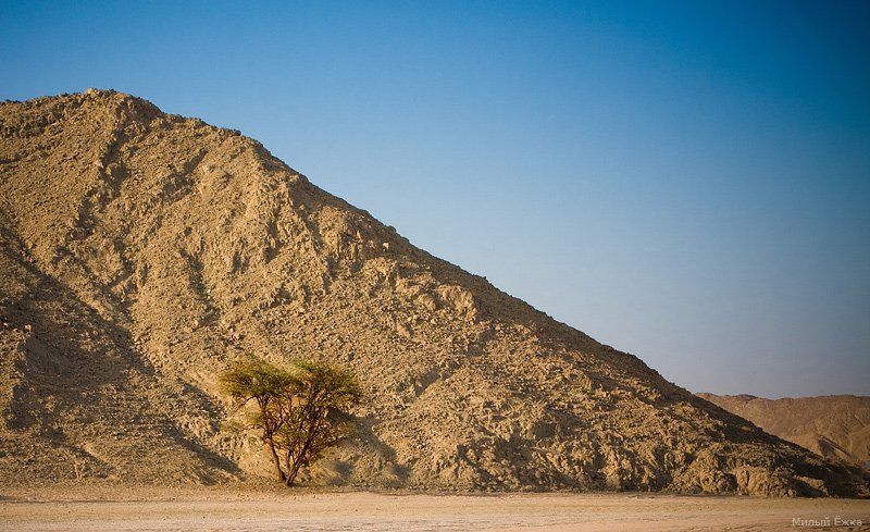 египет Под солнцем....photo preview