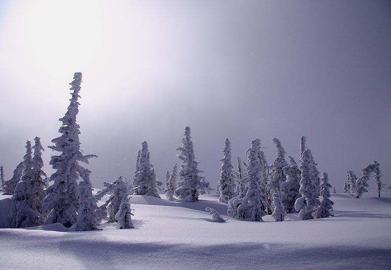 шерегеш, зима в облакахphoto preview