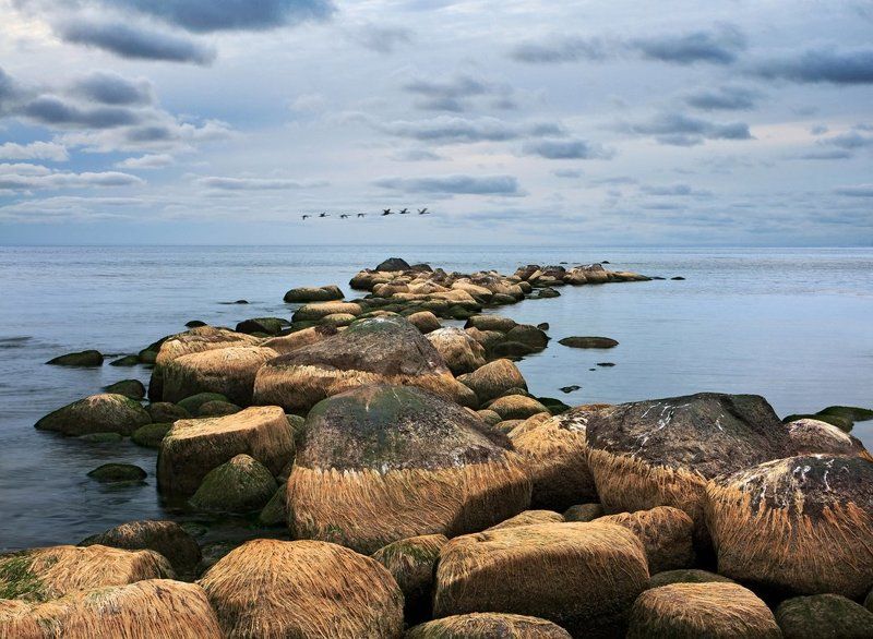 Про бородатые камниphoto preview