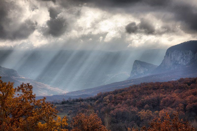 Лучиphoto preview