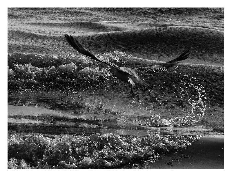 Б У Р Е В Е С Т Н И Кphoto preview