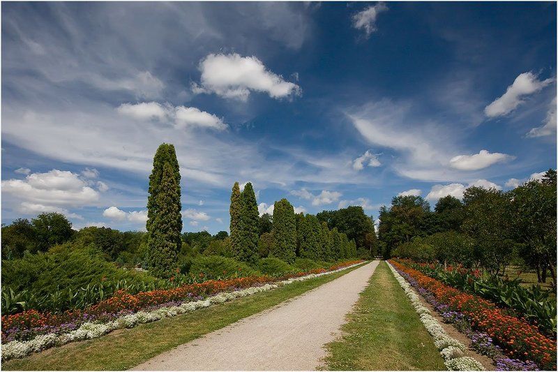 парк, александрия, аллея Аллеяphoto preview