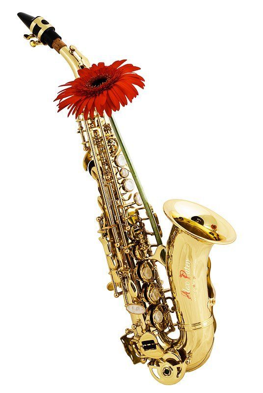 музыка,музыкальные инструменты,магазин,гербера,саксофон,stock,каталог,предметная съемка,высокий ключ Stock Fotophoto preview