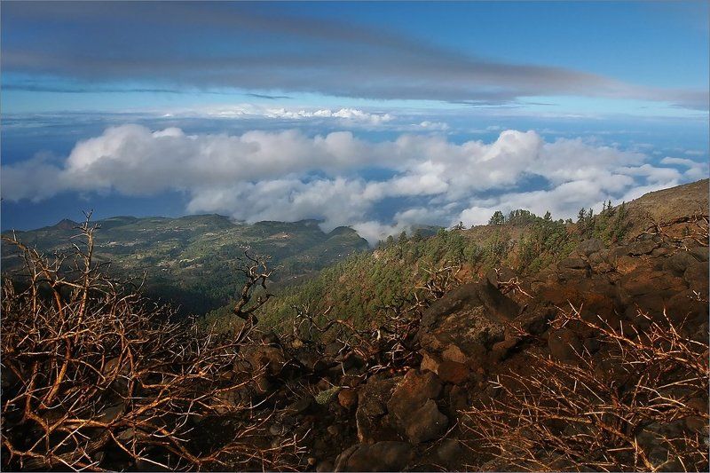 канары Остров  на ладониphoto preview