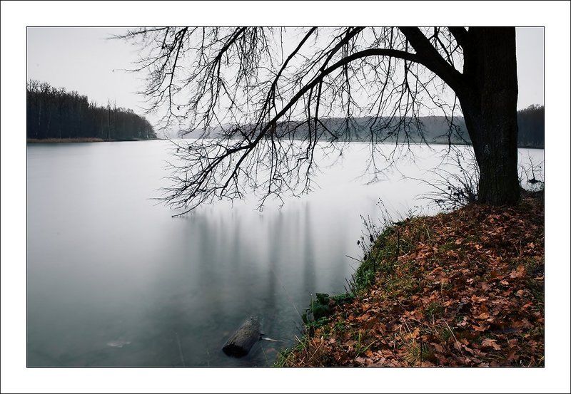 пейзаж, вода, осень, закат Ноябрьphoto preview