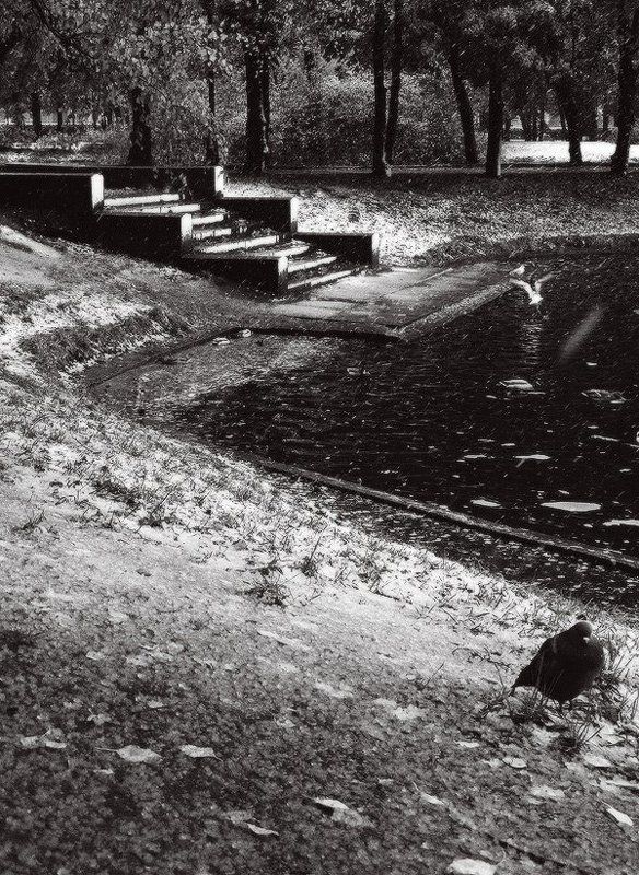 Осенняя грустьphoto preview