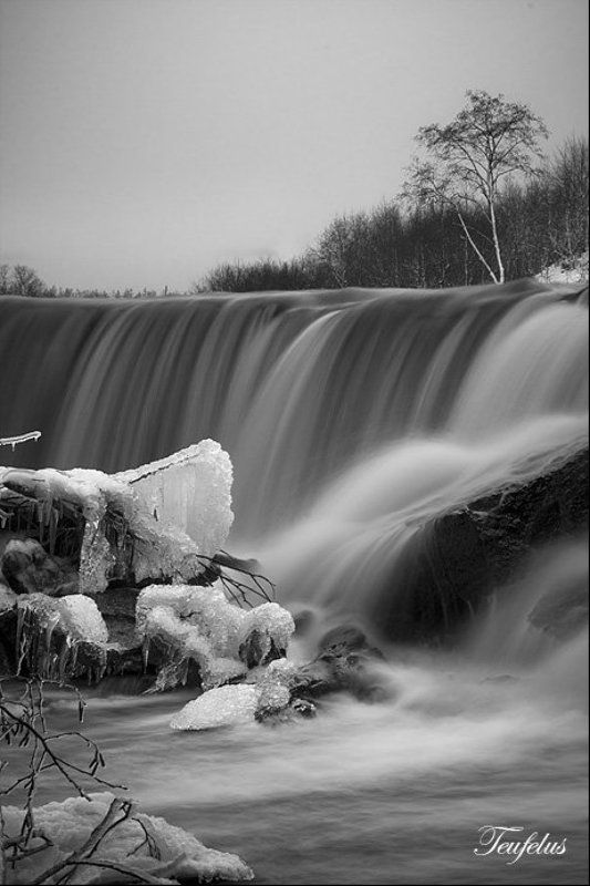 Природаphoto preview